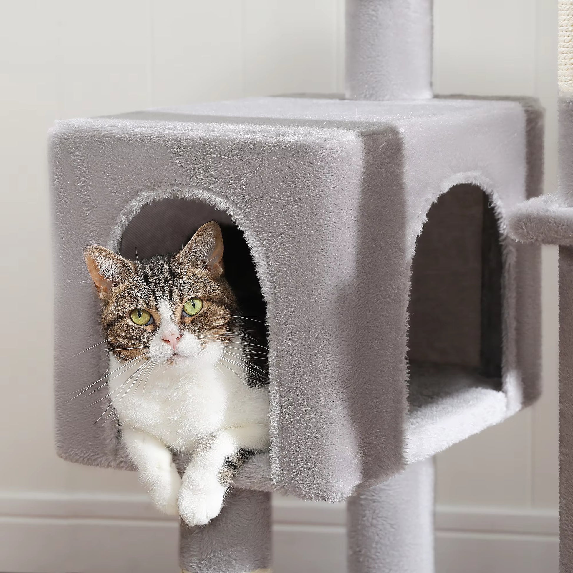 Cat Tree with Hammock Scratching Posts 2 Perches Large Condo for Indoor Cats